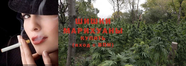 а пвп мука Рославль
