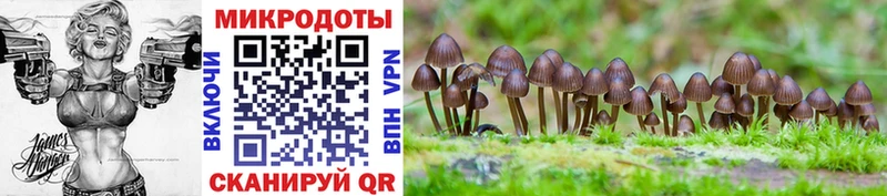 Псилоцибиновые грибы ЛСД  Яровое 